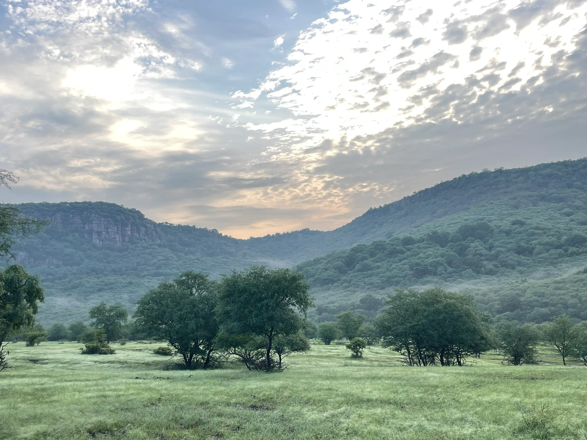 Golden Triangle with Ranthambore: Taj Sunrise & Tiger Safaris - Image 4