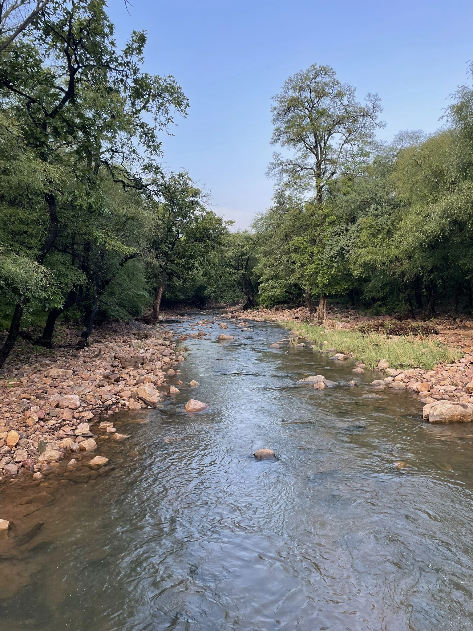 Golden Triangle with Ranthambore: Taj Sunrise & Tiger Safaris - Image 8