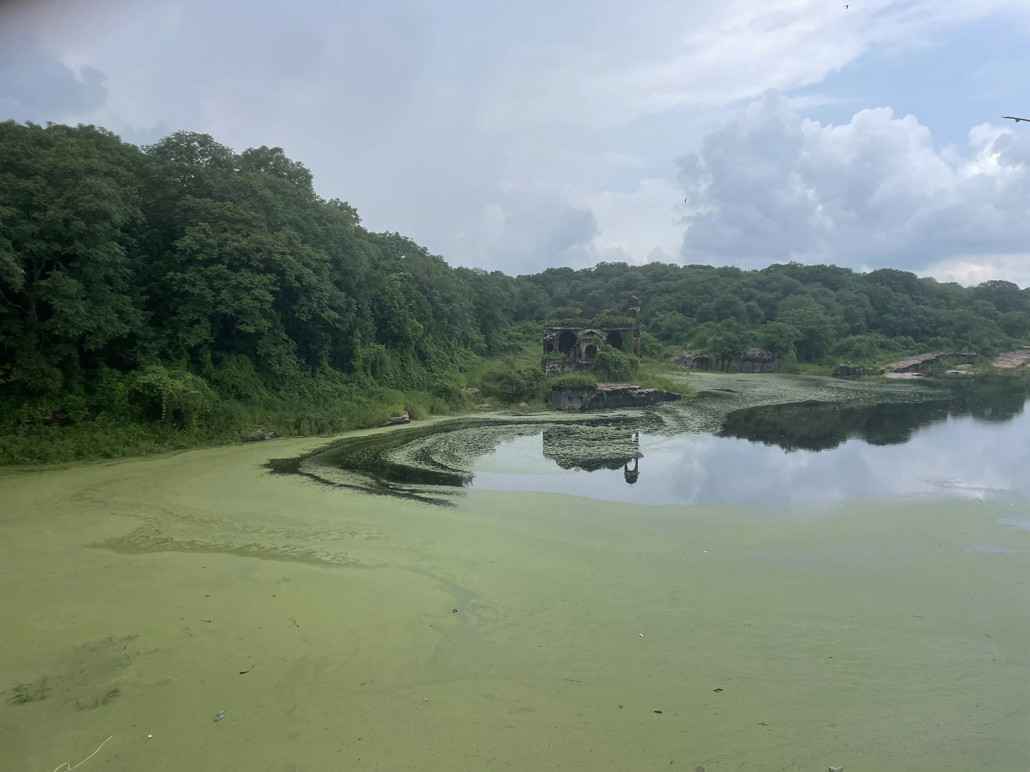 Golden Triangle with Ranthambore: Taj Sunrise & Tiger Safaris - Image 5