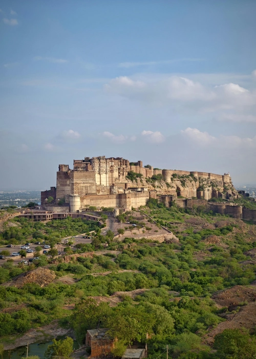 Royal Jodhpur Day Tour: Mehrangarh Palaces & Umaid Bhawan Glamour